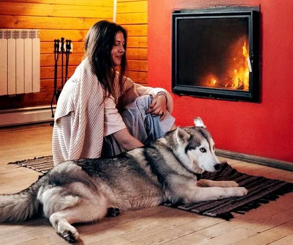 une jeune femme avec un husky face à une cheminéé 