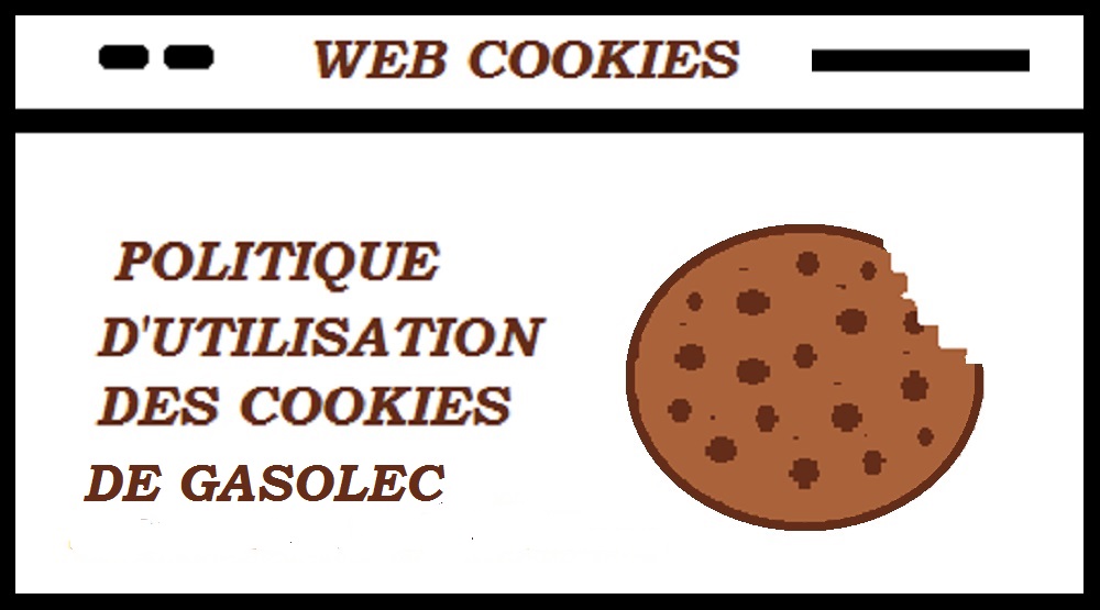 une icône symbole cookies web 