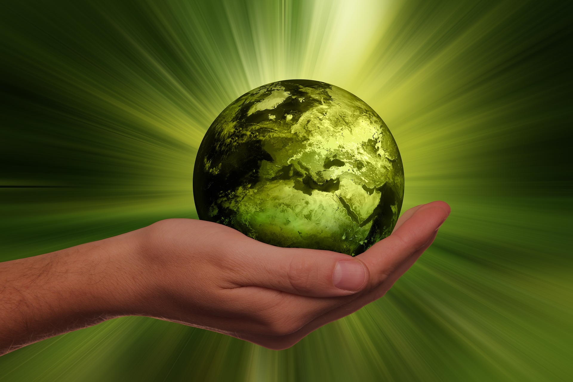 image écolo, une main qui tient un globe terrestre